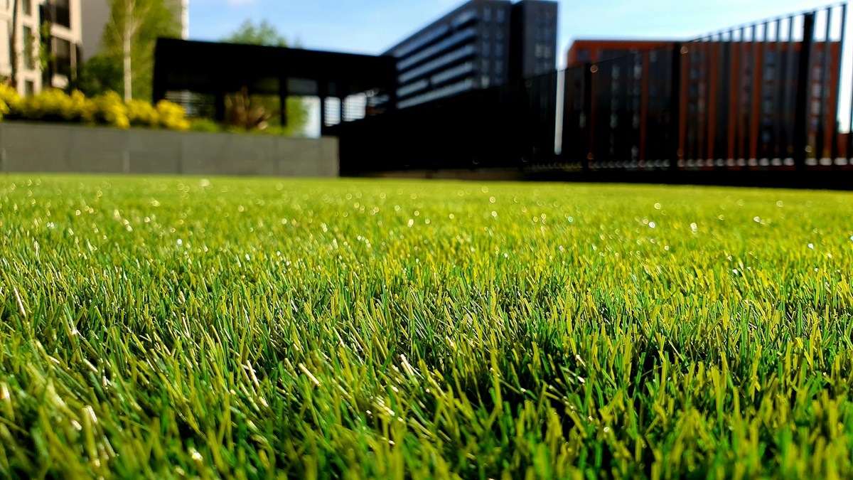 A freshly manicured green lawn beside contemporary garden landscaping